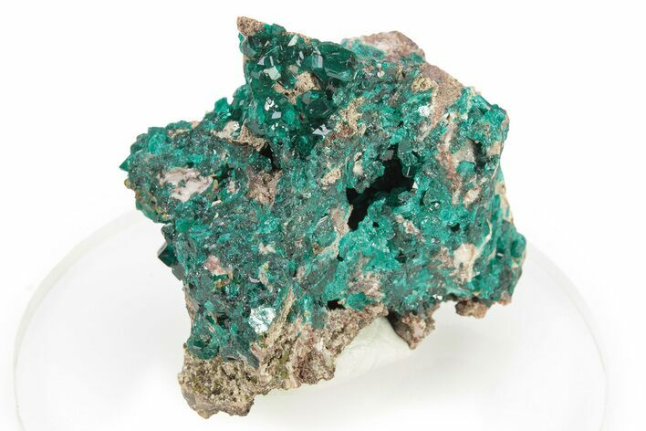 Gemmy Dioptase Crystal Cluster - Republic of the Congo #277838